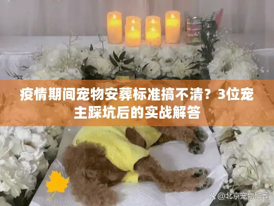 疫情期间宠物安葬标准搞不清？3位宠主踩坑后的实战解答