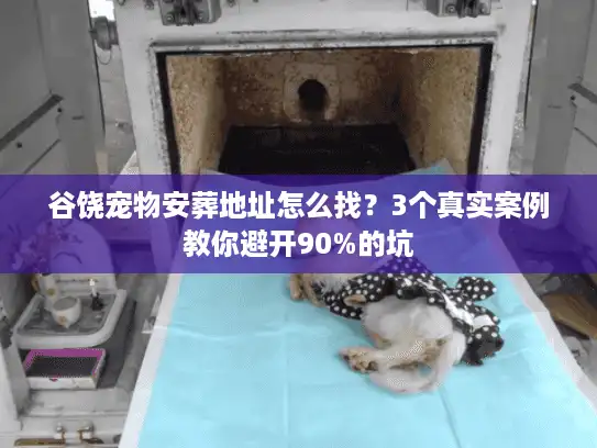 谷饶宠物安葬地址怎么找？3个真实案例教你避开90%的坑