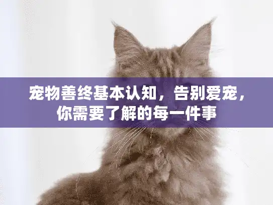宠物善终基本认知，告别爱宠，你需要了解的每一件事