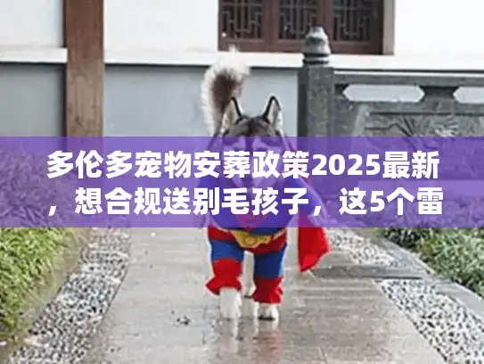 多伦多宠物安葬政策2025最新，想合规送别毛孩子，这5个雷区一定要避开？
