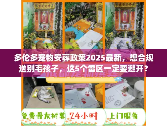 多伦多宠物安葬政策2025最新，想合规送别毛孩子，这5个雷区一定要避开？