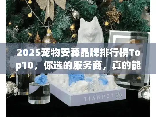 2025宠物安葬品牌排行榜Top10，你选的服务商，真的能接住最后的告别吗？