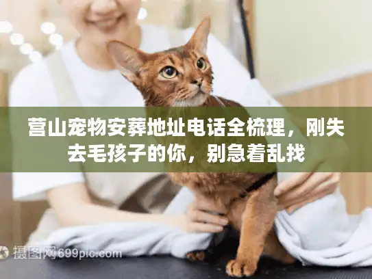 营山宠物安葬地址电话全梳理，刚失去毛孩子的你，别急着乱找