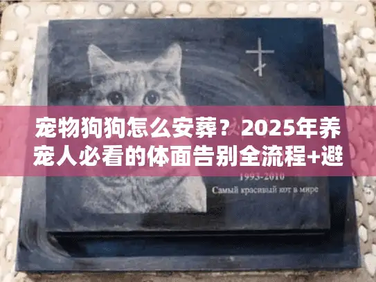 宠物狗狗怎么安葬？2025年养宠人必看的体面告别全流程+避坑技巧