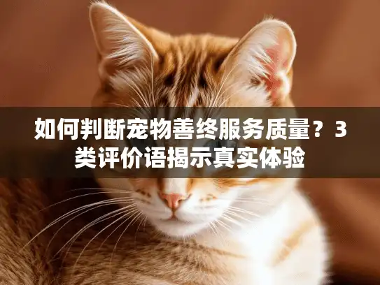 如何判断宠物善终服务质量？3类评价语揭示真实体验