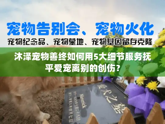 沐泽宠物善终如何用5大细节服务抚平爱宠离别的创伤？