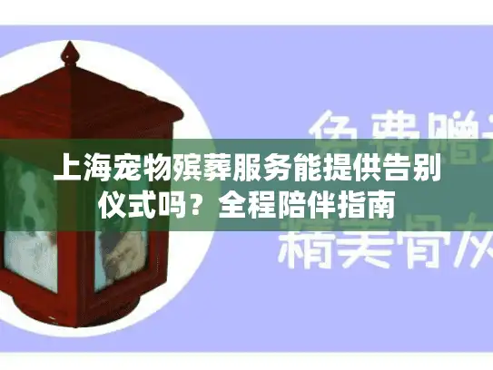 上海宠物殡葬服务能提供告别仪式吗？全程陪伴指南
