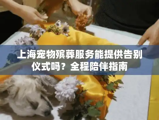 上海宠物殡葬服务能提供告别仪式吗？全程陪伴指南