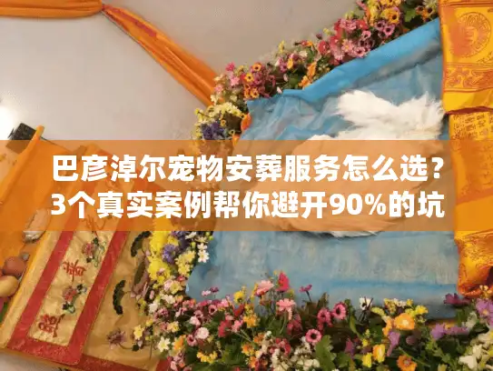 巴彦淖尔宠物安葬服务怎么选？3个真实案例帮你避开90%的坑
