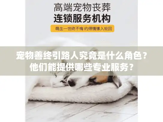 宠物善终引路人究竟是什么角色？他们能提供哪些专业服务？