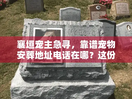 襄垣宠主急寻，靠谱宠物安葬地址电话在哪？这份实战指南帮你避坑