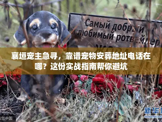 襄垣宠主急寻，靠谱宠物安葬地址电话在哪？这份实战指南帮你避坑