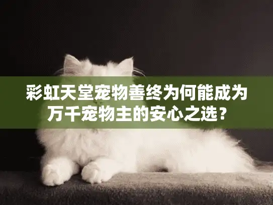 彩虹天堂宠物善终为何能成为万千宠物主的安心之选？