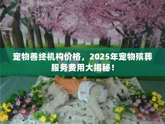 宠物善终机构价格，2025年宠物殡葬服务费用大揭秘！