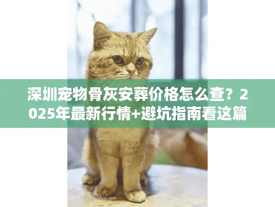 深圳宠物骨灰安葬价格怎么查？2025年最新行情+避坑指南看这篇就够