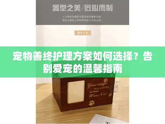 宠物善终护理方案如何选择？告别爱宠的温馨指南