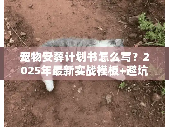 宠物安葬计划书怎么写？2025年最新实战模板+避坑细节全公开