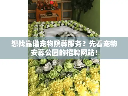 想找靠谱宠物殡葬服务？先看宠物安葬公园的招聘网站！