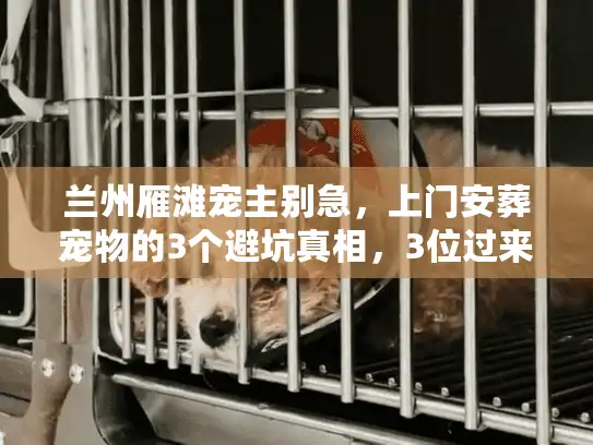 兰州雁滩宠主别急，上门安葬宠物的3个避坑真相，3位过来人说透