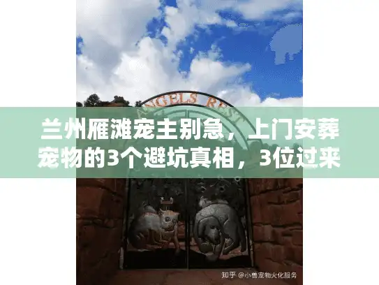 兰州雁滩宠主别急，上门安葬宠物的3个避坑真相，3位过来人说透