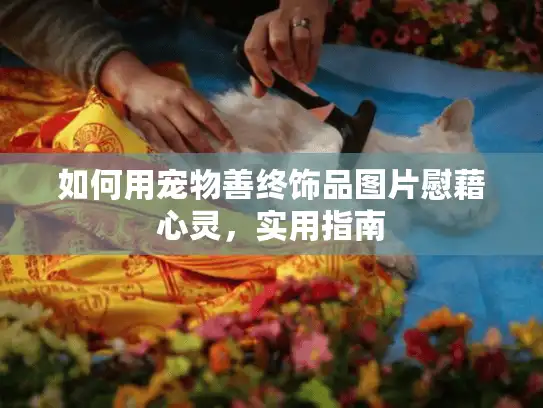 如何用宠物善终饰品图片慰藉心灵，实用指南