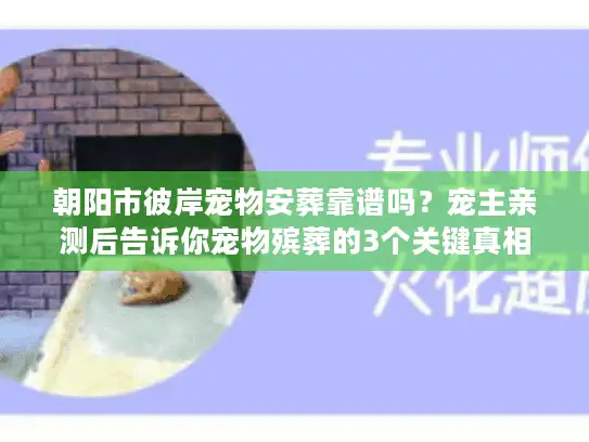 朝阳市彼岸宠物安葬靠谱吗？宠主亲测后告诉你宠物殡葬的3个关键真相