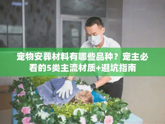 宠物安葬材料有哪些品种？宠主必看的5类主流材质+避坑指南