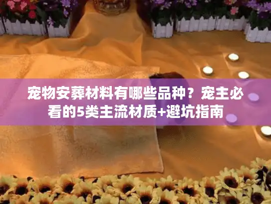 宠物安葬材料有哪些品种？宠主必看的5类主流材质+避坑指南