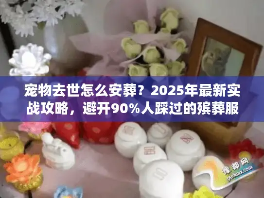 宠物去世怎么安葬？2025年最新实战攻略，避开90%人踩过的殡葬服务坑