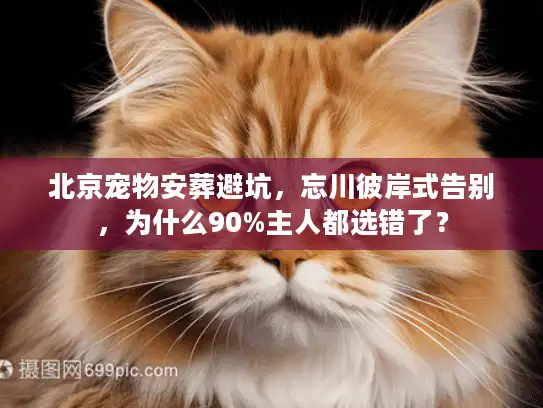 北京宠物安葬避坑，忘川彼岸式告别，为什么90%主人都选错了？
