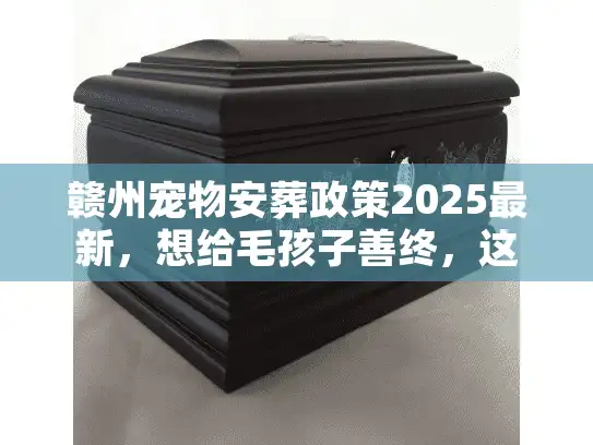 赣州宠物安葬政策2025最新，想给毛孩子善终，这5个红线千万不能碰？