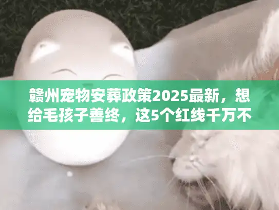赣州宠物安葬政策2025最新，想给毛孩子善终，这5个红线千万不能碰？