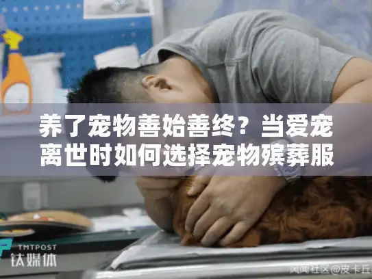 养了宠物善始善终？当爱宠离世时如何选择宠物殡葬服务