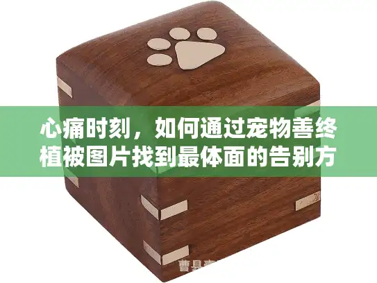 心痛时刻，如何通过宠物善终植被图片找到最体面的告别方式?