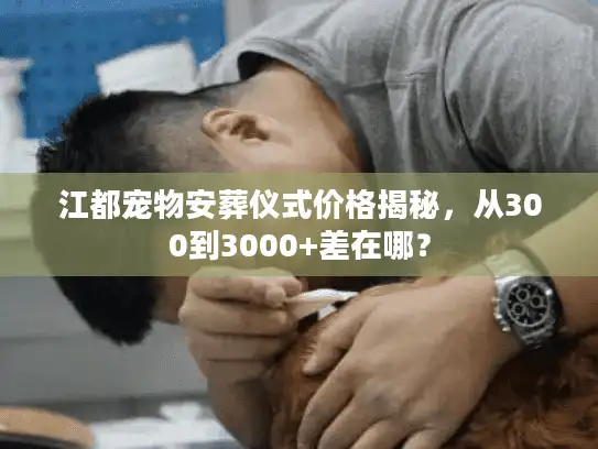 江都宠物安葬仪式价格揭秘，从300到3000+差在哪？