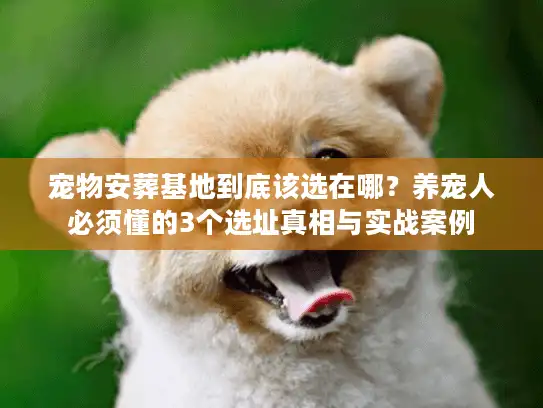 宠物安葬基地到底该选在哪？养宠人必须懂的3个选址真相与实战案例