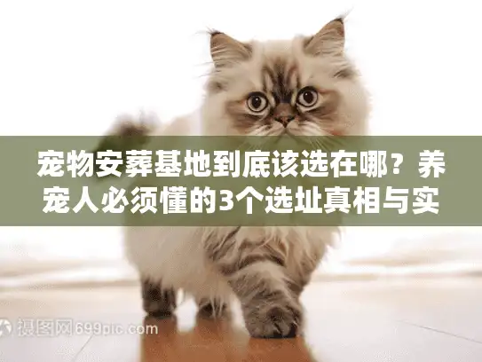 宠物安葬基地到底该选在哪？养宠人必须懂的3个选址真相与实战案例