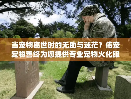 当宠物离世时的无助与迷茫？佑宠宠物善终为您提供专业宠物火化服务