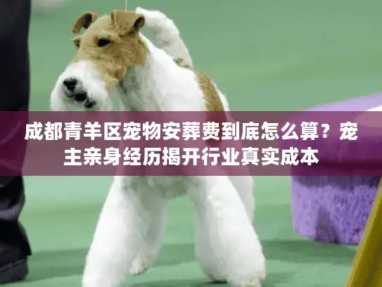 成都青羊区宠物安葬费到底怎么算？宠主亲身经历揭开行业真实成本