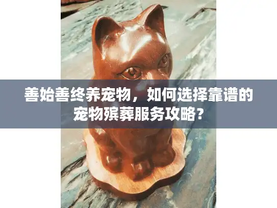 善始善终养宠物，如何选择靠谱的宠物殡葬服务攻略？