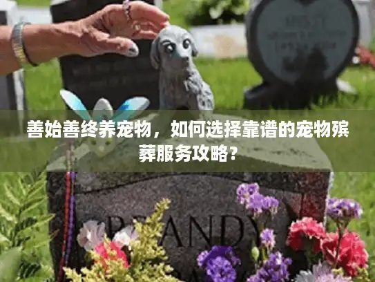 善始善终养宠物，如何选择靠谱的宠物殡葬服务攻略？