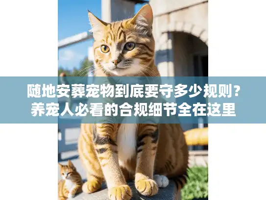 随地安葬宠物到底要守多少规则？养宠人必看的合规细节全在这里