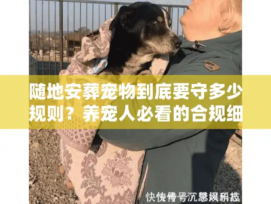 随地安葬宠物到底要守多少规则？养宠人必看的合规细节全在这里