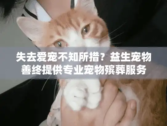失去爱宠不知所措？益生宠物善终提供专业宠物殡葬服务