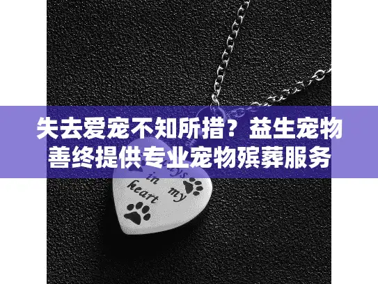 失去爱宠不知所措？益生宠物善终提供专业宠物殡葬服务
