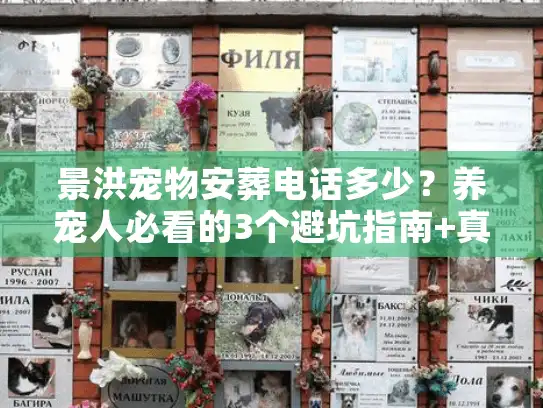 景洪宠物安葬电话多少？养宠人必看的3个避坑指南+真实体验