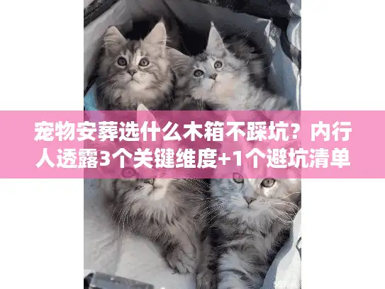 宠物安葬选什么木箱不踩坑？内行人透露3个关键维度+1个避坑清单