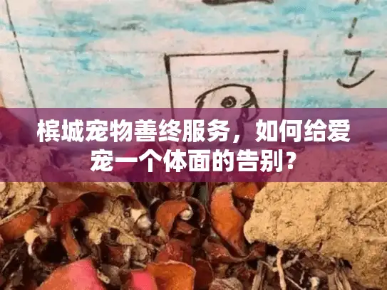 槟城宠物善终服务，如何给爱宠一个体面的告别？