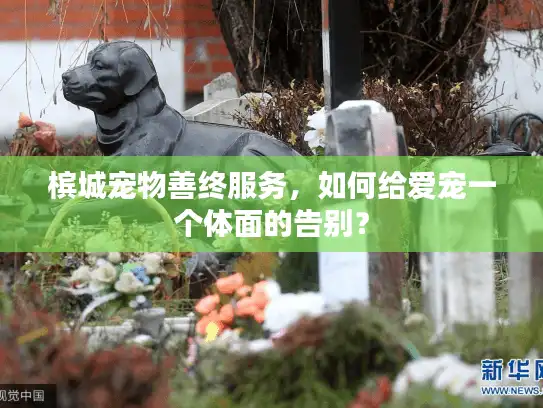 槟城宠物善终服务，如何给爱宠一个体面的告别？