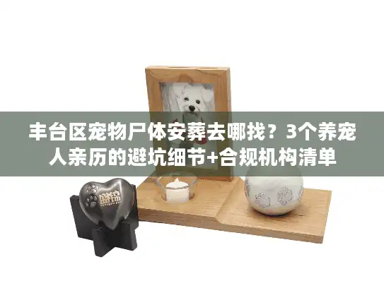 丰台区宠物尸体安葬去哪找？3个养宠人亲历的避坑细节+合规机构清单